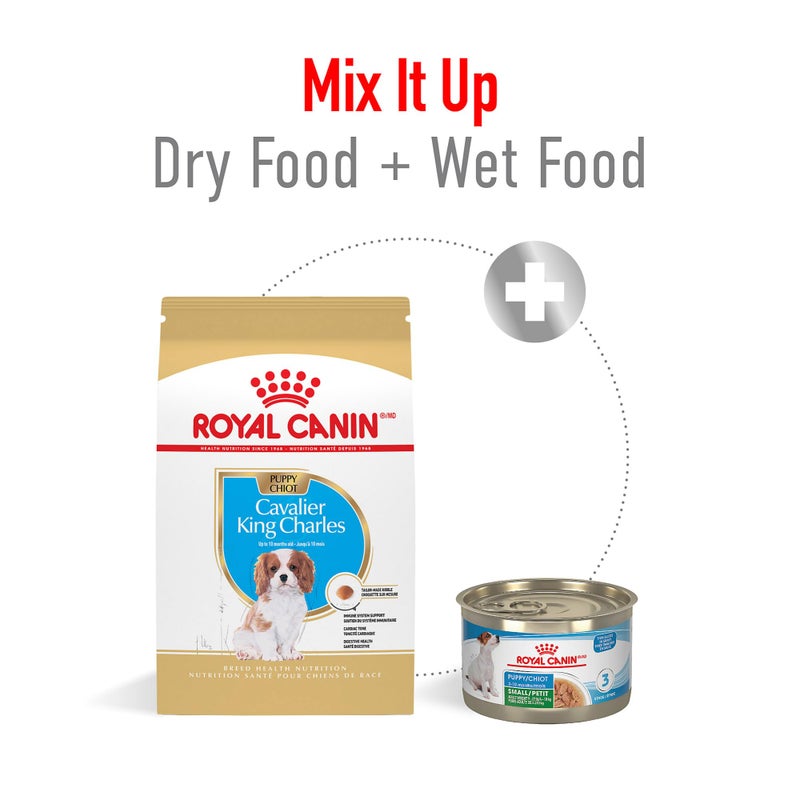 Royal Canin Breed Health Nutrition Cavalier King Charles Spaniel Puppy Dry Dog Food, 3 lb Bag - Image 5